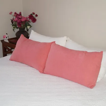 Vue Mer Bastia (Corsica)